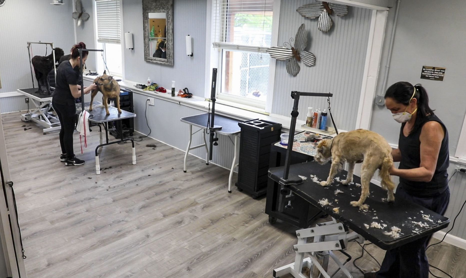 Trimming and wagging again